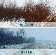 Before and after images of a tree line being cleared